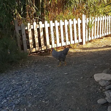 Lipsos Ata'nın Yeri Konukevi 2*