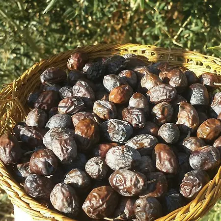 Lipsos Ata'nın Yeri Konukevi 2*