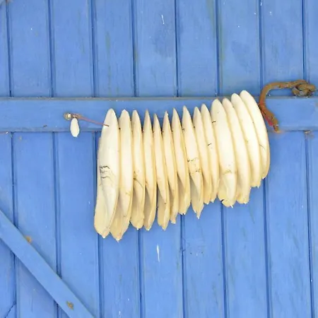 Pensión Lipsos Yeniliman