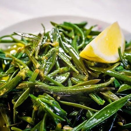 Lipsos Pensión Yeniliman