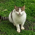 Lipsos بيت ضيافة