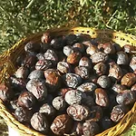 Lipsos بيت ضيافة 2*