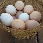 بيت ضيافة Lipsos