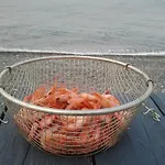 بيت ضيافة Lipsos