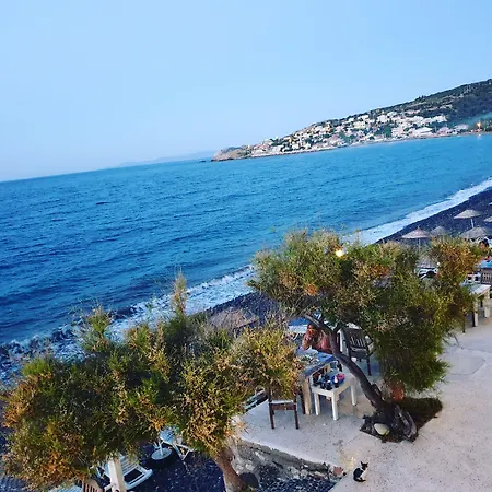 Lipsos 2*